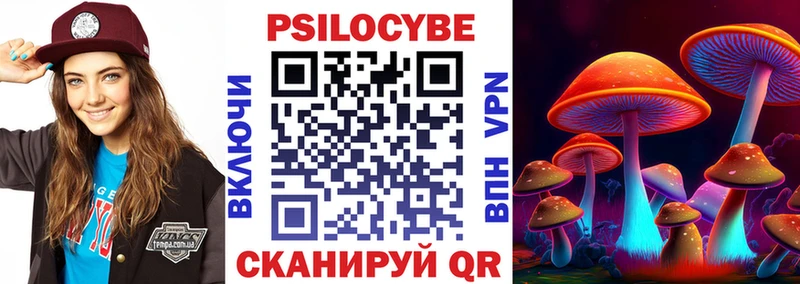 Псилоцибиновые грибы Psilocybine cubensis  Ковров 